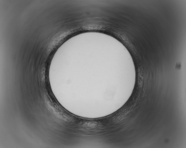 X0000114600631200911301424