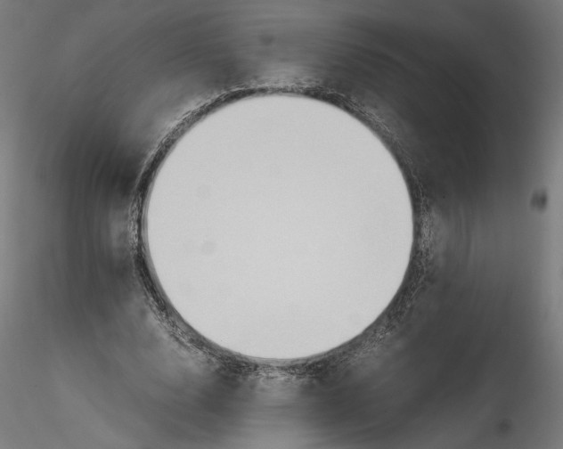 X0000114600632200911301424