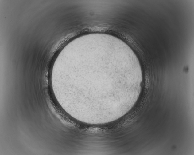 X0000114600634200911301424