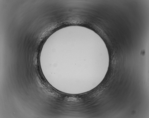 X0000114600635200911301424