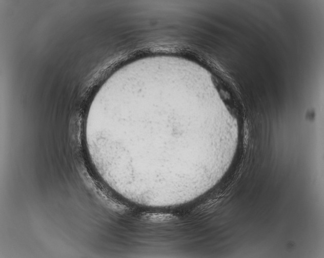 X0000114600637200911301424