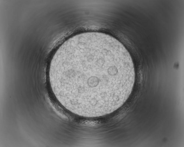 X0000114600638200911301424