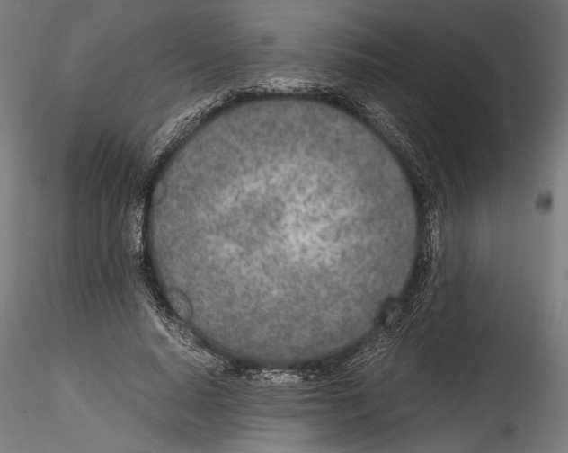 X0000114600640200911301424