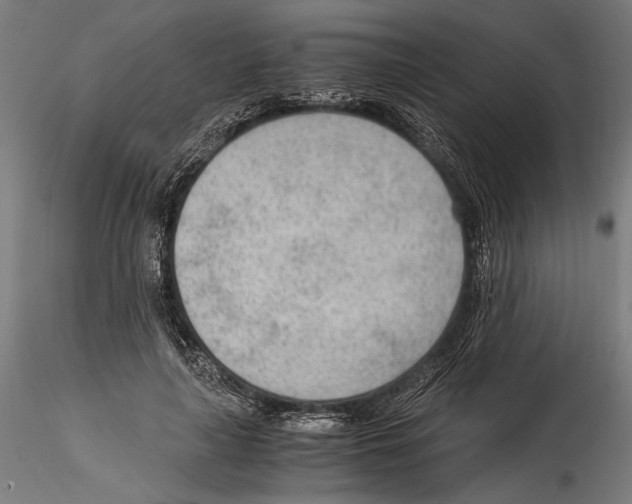 X0000114600643200911301424