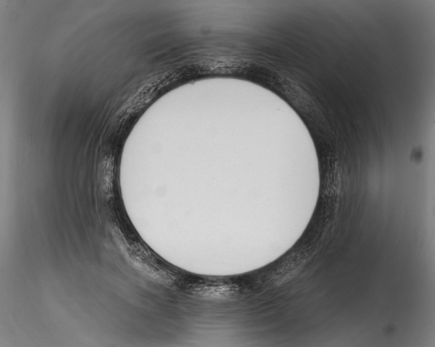 X0000114600646200911301424