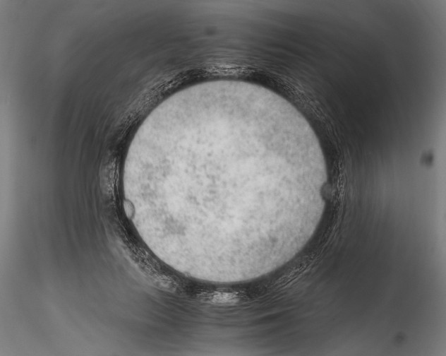 X0000114600647200911301424