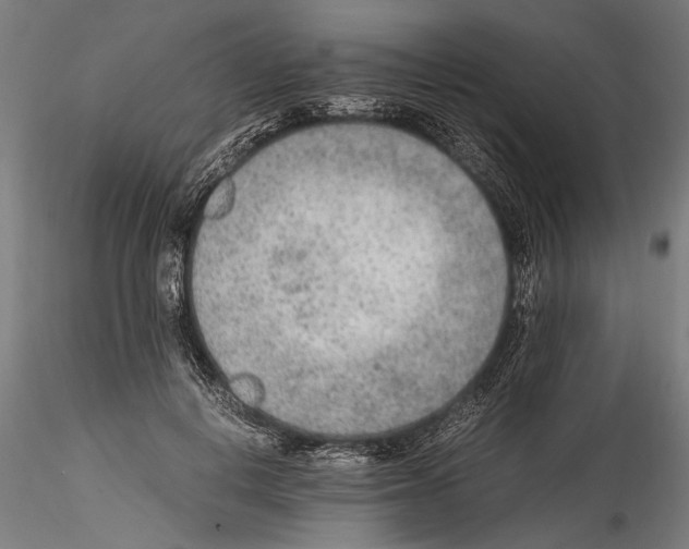 X0000114600648200911301424