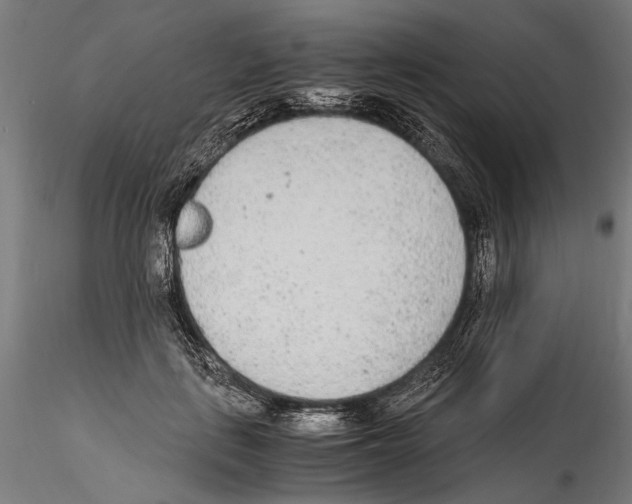 X0000114600651200911301424