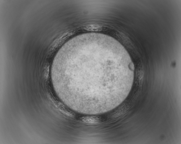 X0000114600652200911301424