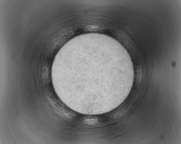 X0000114600653200911301424