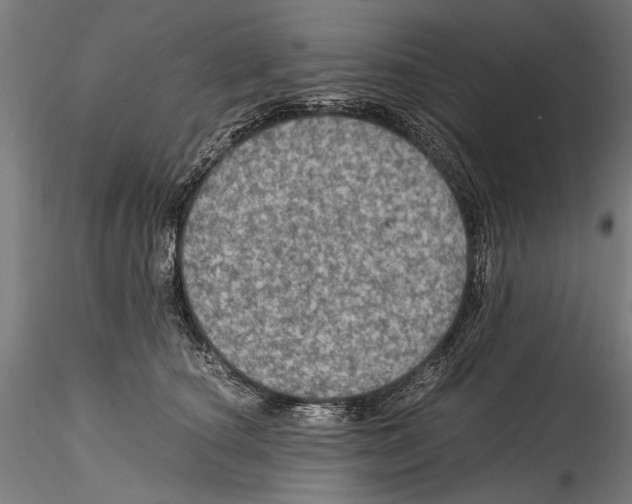 X0000114600660200911301424