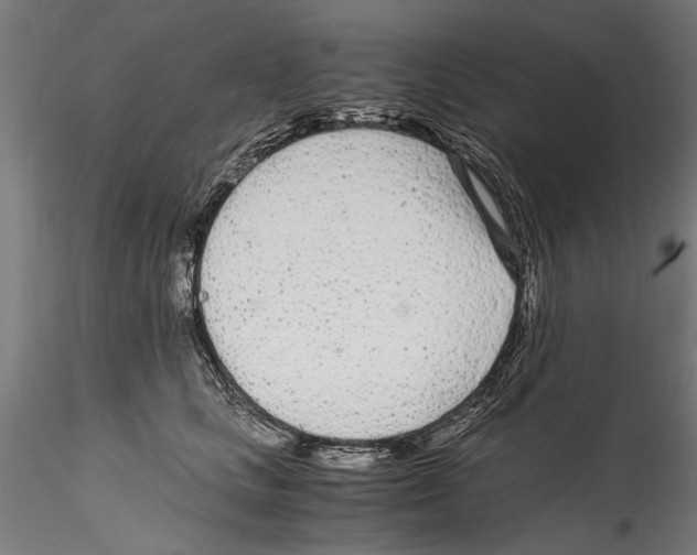 X0000114600661200911301424