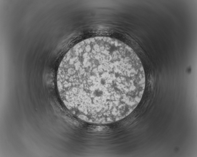 X0000114600663200911301424