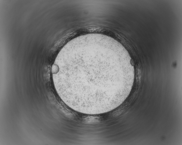 X0000114600664200911301424