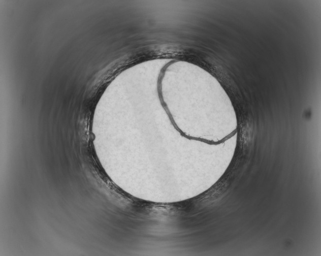 X0000114600666200911301424