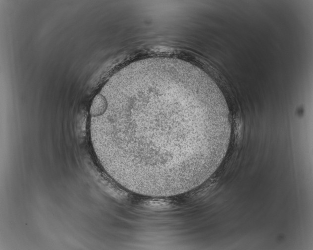 X0000114600668200911301424