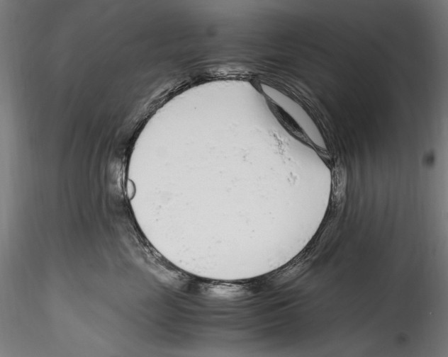 X0000114600669200911301424