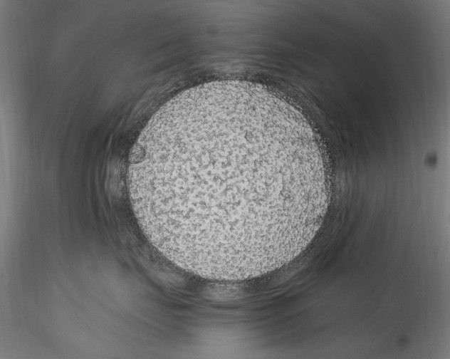 X0000114600671200911301424