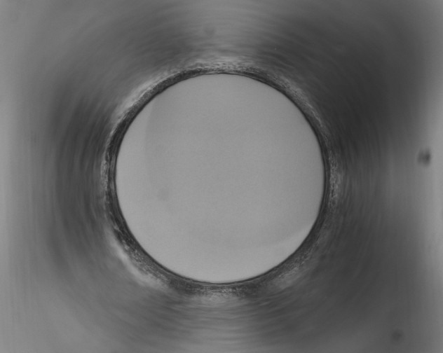 X0000114600674200911301423