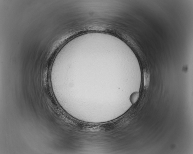 X0000114600675200911301423