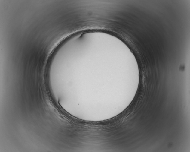 X0000114600676200911301423