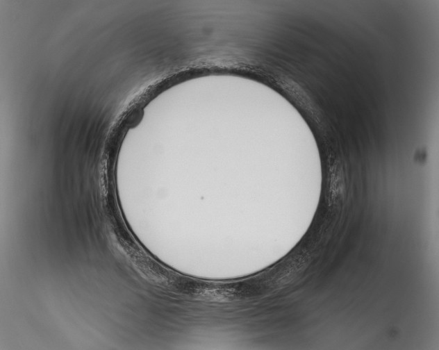 X0000114600680200911301423