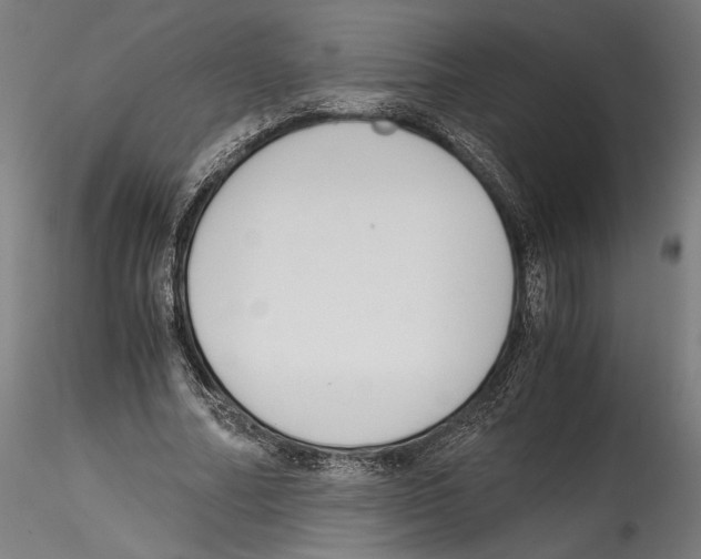 X0000114600682200911301423