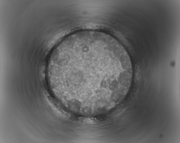 X0000114600683200911301423