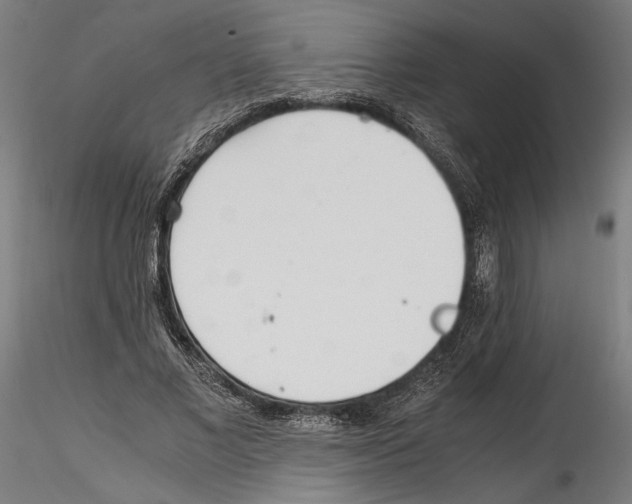 X0000114600685200911301423