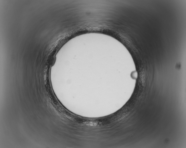 X0000114600687200911301423