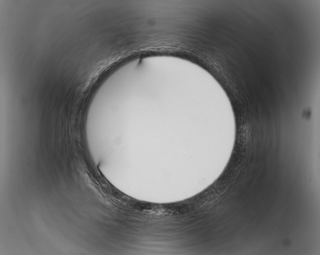 X0000114600688200911301423