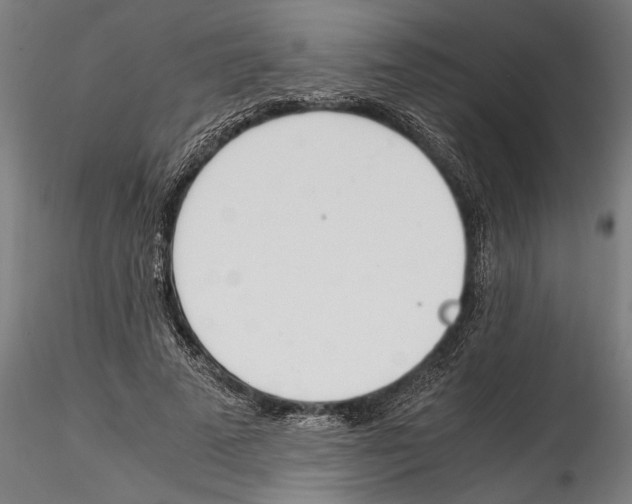 X0000114600689200911301423