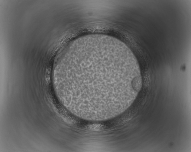 X0000114600695200911301423