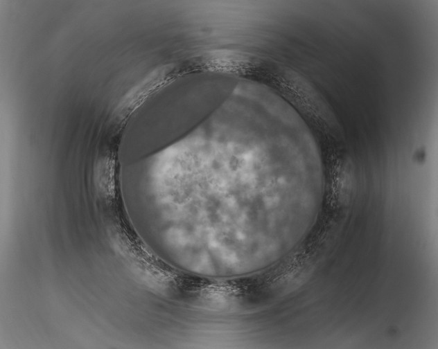 X0000114600696200911301423