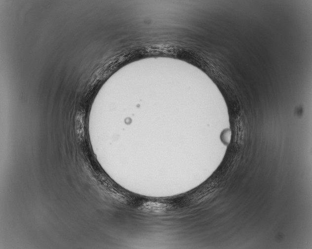 X0000114600699200911301423