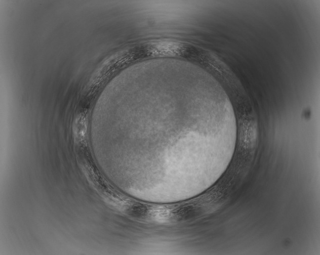 X0000114600701200911301423