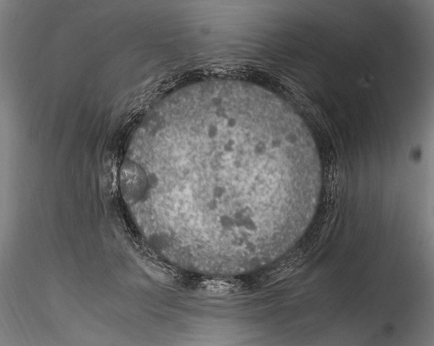 X0000114600703200911301423