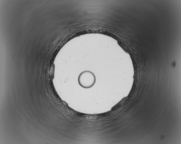 X0000114600709200911301423