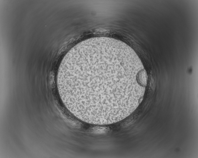 X0000114600711200911301423