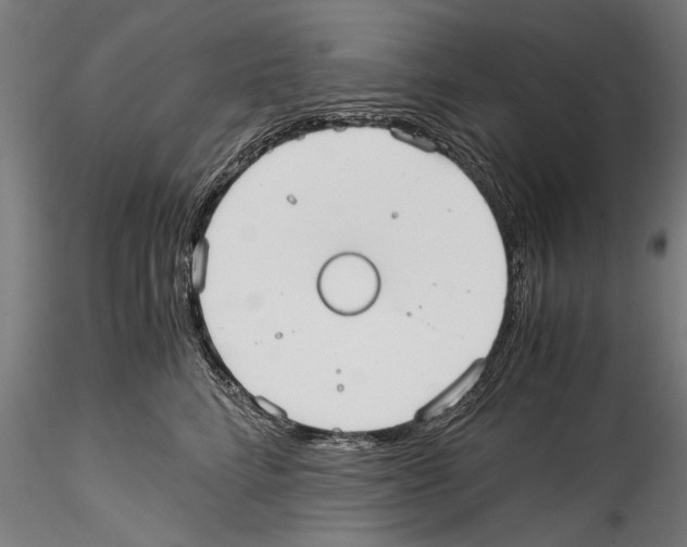 X0000114600712200911301423