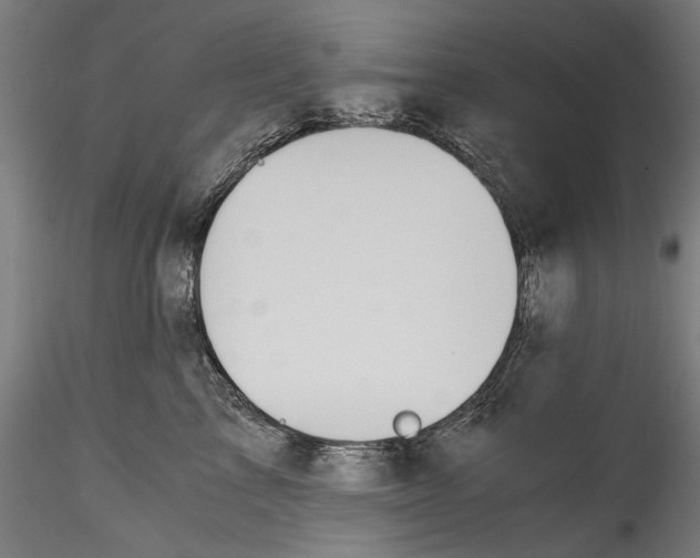 X0000114600713200911301423