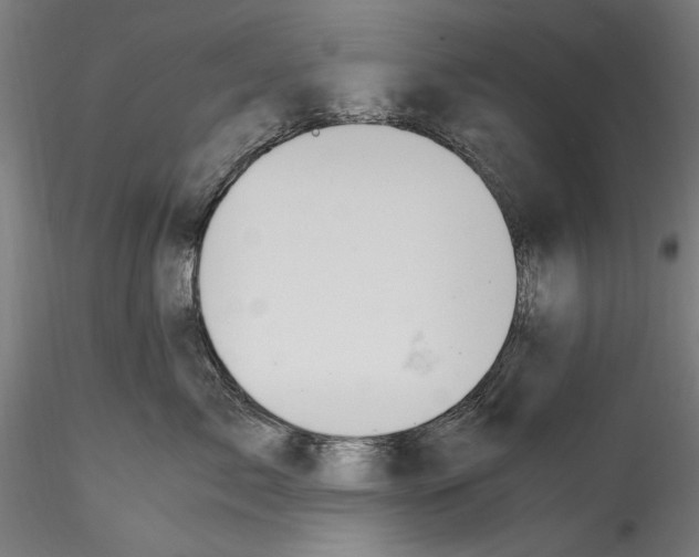 X0000114600717200911301423