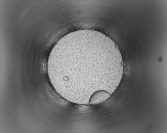 X0000114600718200911301423