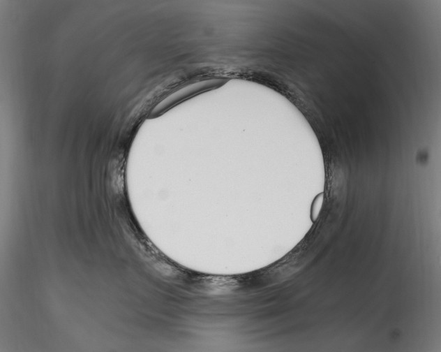 X0000114600719200911301423