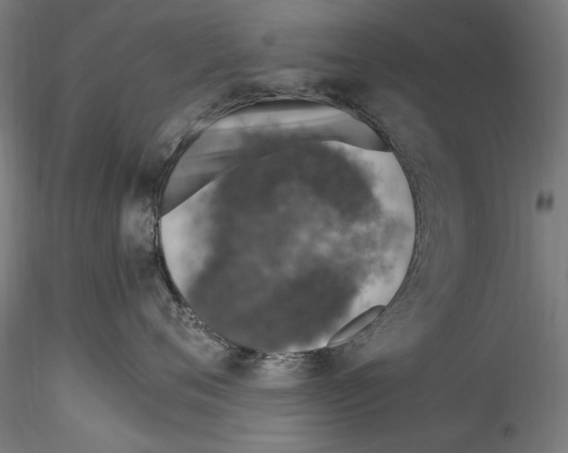 X0000114600720200911301423