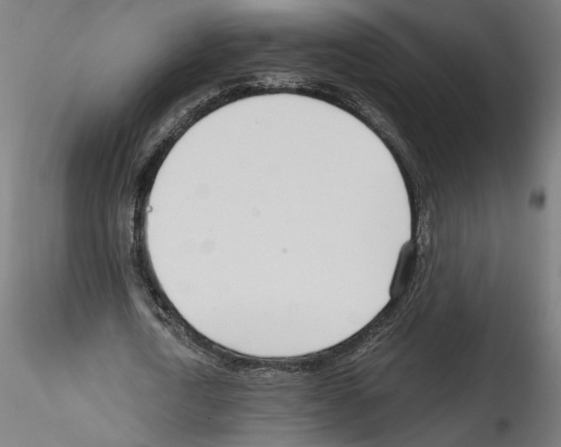 X0000114600722200911301422