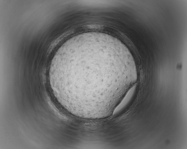 X0000114600725200911301422