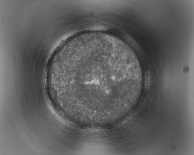 X0000114600726200911301422