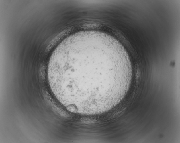 X0000114600729200911301422