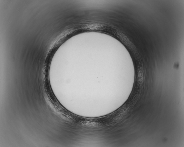 X0000114600730200911301422